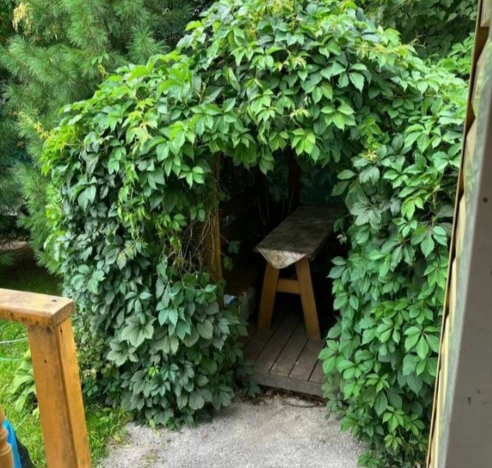 Купить дачу в Новосибирске. Вариант № 9731130, 14, площадь -  квм, цена 3100000 рублей