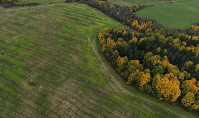 Купить земельный участок в Вологодской области. Вариант № 31183, 0, площадь -  квм, цена 4100000 рублей