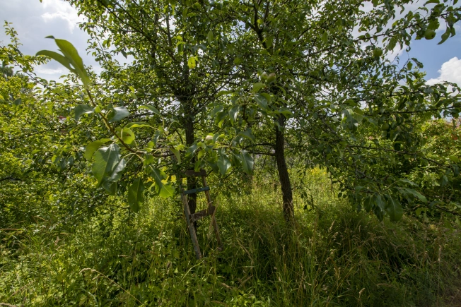 Купить земельный участок у метро Двигатель Революции в Нижнем Новгороде. Вариант № 1161099, 4, площадь - квм, цена 1550000 рублей