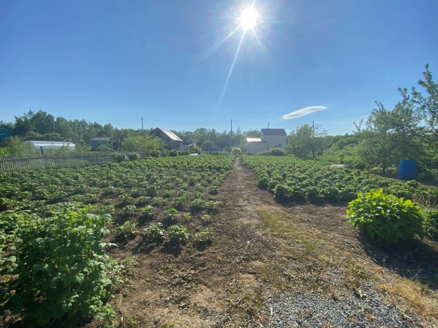 Купить дачу в Южно-Сахалинске. Вариант № 11054, 12, площадь -  квм, цена 3600000 рублей
