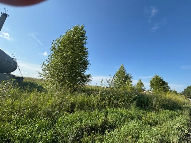 Купить земельный участок в Искитиме. Вариант № 520397, 8, площадь -  квм, цена 200000 рублей