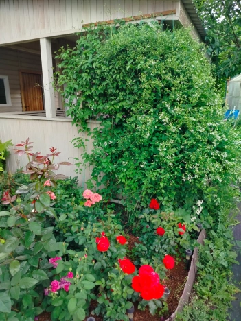 Купить дом в Омске. Вариант № 48595, 25, площадь -  квм, цена 9300000 рублей