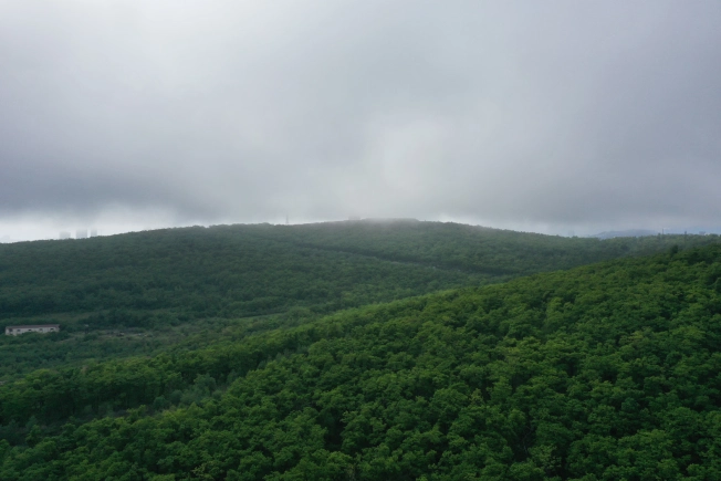 Купить двухкомнатную квартиру в новостройках в Приморском крае. Вариант № 4136888, 2, площадь -  квм, цена 10592700 рублей