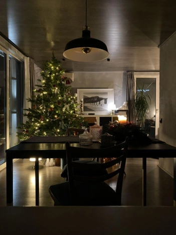 Купить дом в Пушкине. Вариант № 30481, 12, площадь -  квм, цена 27000000 рублей