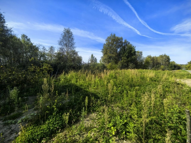 Снять коммерческую недвижимость в Иванове. Вариант № 7993790, 6, площадь -  квм, цена 20000 рублей