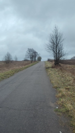 Купить земельный участок в Калининграде. Вариант № 4161, 0, площадь -  квм, цена 3900000 рублей