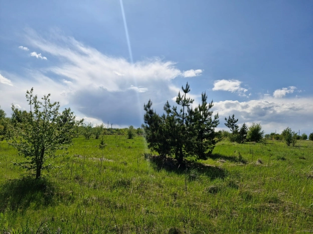 Купить земельный участок в Пензе. Вариант № 19534, 0, площадь -  квм, цена 700000 рублей