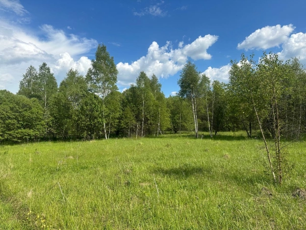 Купить земельный участок в Тульской области. Вариант № 8312, 1, площадь -  квм, цена 2100000 рублей