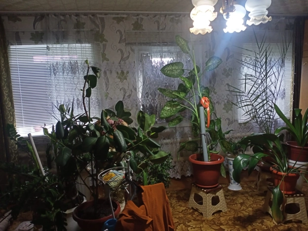 Купить дом в Элисте. Вариант № 2176042, 10, площадь -  квм, цена 5500000 рублей