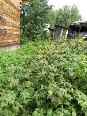 Купить земельный участок в Новосибирске. Вариант № 12179, 9, площадь -  квм, цена 2200000 рублей