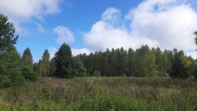 Купить земельный участок в Владимире. Вариант № 3155308, 5, площадь -  квм, цена 680000 рублей
