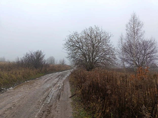 Купить земельный участок в Рязани. Вариант № 22735, 3, площадь -  квм, цена 2100000 рублей