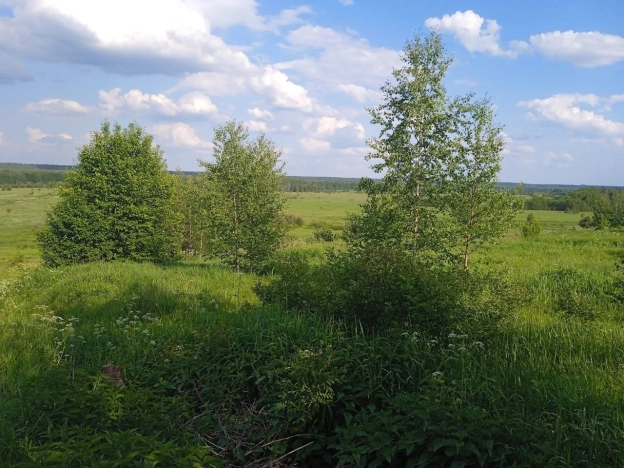 Купить земельный участок в Владимире. Вариант № 10286725, 1, площадь -  квм, цена 799000 рублей