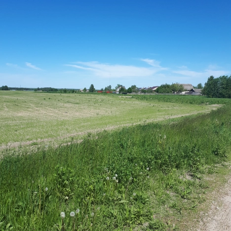 Купить дом на улице Чапаева в Нижегородской области. Вариант № 2064, 2, площадь -  квм, цена 380000 рублей