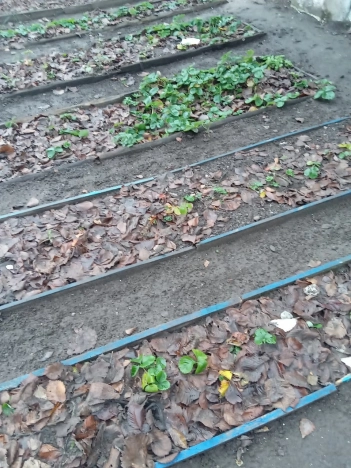 Купить дом на улице 1 Мая в Нижегородской области. Вариант № 8774542, 13, площадь -  квм, цена 4100000 рублей