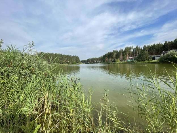 Купить дом в Воронеже. Вариант № 555024, 27, площадь -  квм, цена 16600000 рублей