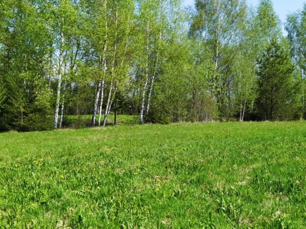 Купить земельный участок в Краснозаводске. Вариант № 972, 8, площадь -  квм, цена 1100000 рублей