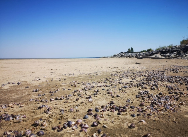 Купить земельный участок в Новосибирске. Вариант № 38121, 7, площадь -  квм, цена 550000 рублей