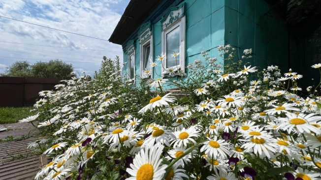 Купить дом на улице Амурская в Амурской области. Вариант № 60789, 0, площадь -  квм, цена 1000000 рублей
