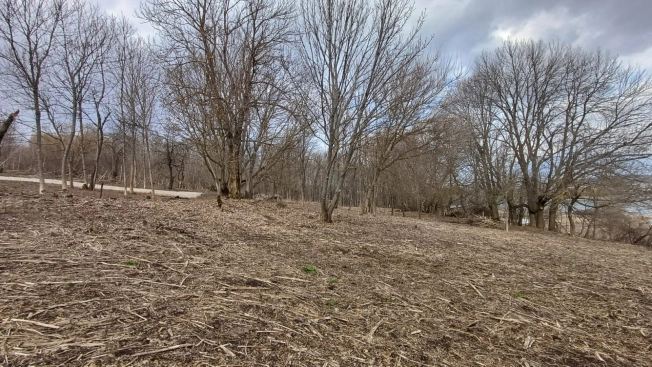 Купить земельный участок в Туле. Вариант № 21295, 14, площадь -  квм, цена 3200000 рублей