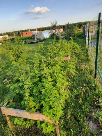 . Вариант № 1299679, 8, площадь -  квм, цена 1150000 рублей