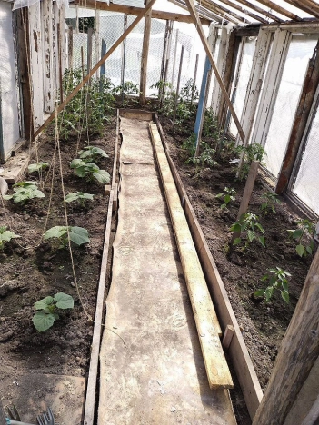 Купить дачу в Тюменской области. Вариант № 58391, 23, площадь -  квм, цена 1600000 рублей