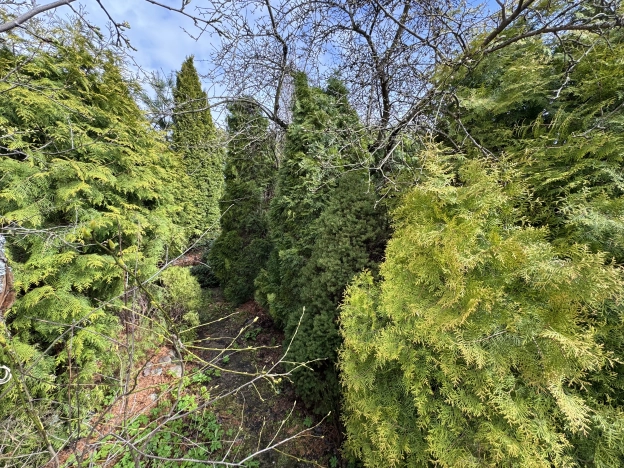 Купить дом на улице Колтушское шоссе в Всеволожске. Вариант № 41370, 31, площадь -  квм, цена 24000000 рублей