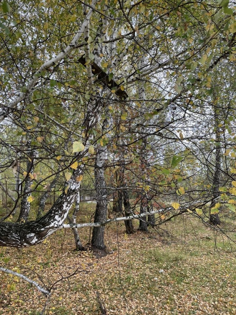 Photo https://36000382-a1c2-4a8a-a109-3fc3bfc73cf7.selcdn.net/App/Entity/ObjectRealty/ObjectRealty/TZ/6f3cb347-d588-42a6-b1e8-3d04bfe9cd40/mhKYAV1iVc8Riiz3sHRroB9etg5ekyyIyxme0XW9.jpg.compressed.webp