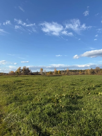 Купить земельный участок в Новосибирске. Вариант № 5304629, 2, площадь -  квм, цена 270000 рублей