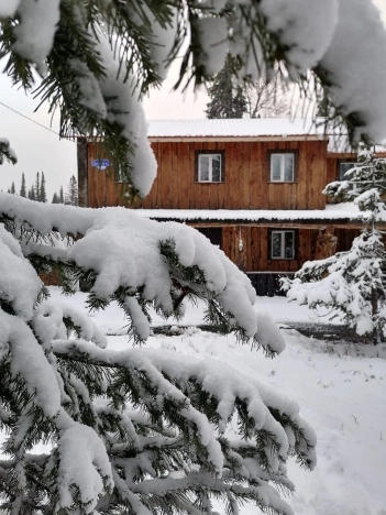 Купить дом в Кемеровской Области — Кузбассе. Вариант № 36302, 13, площадь -  квм, цена 15800000 рублей