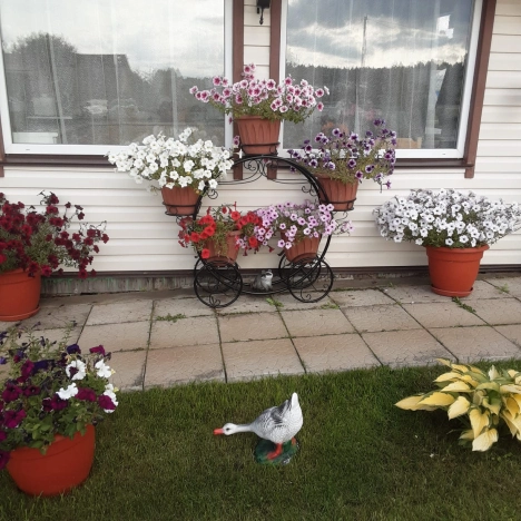 Купить дачу в Республике Карелия. Вариант № 1806412, 7, площадь -  квм, цена 5149000 рублей