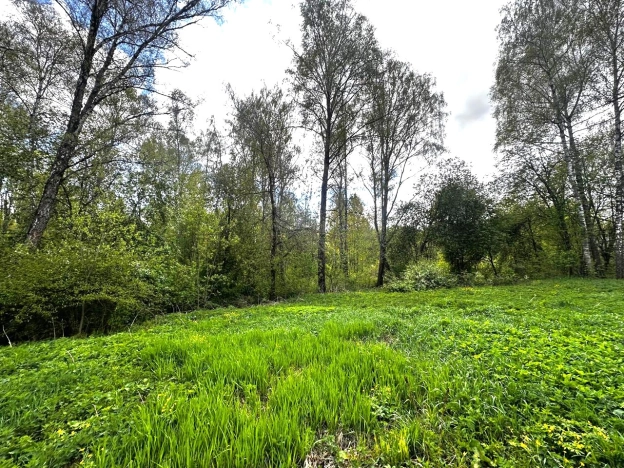 Купить земельный участок в Раменском. Вариант № 47402, 10, площадь -  квм, цена 129900000 рублей