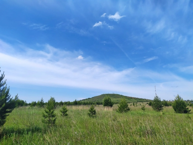 . Вариант № 529, 2, площадь -  квм, цена 1342900 рублей