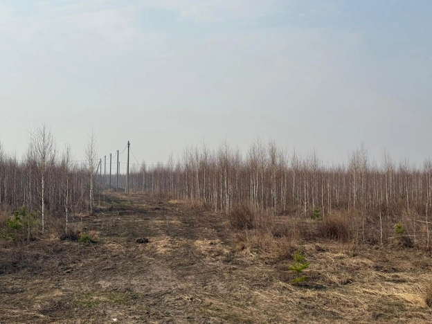 Купить земельный участок в Новосибирске. Вариант № 24283, 1, площадь -  квм, цена 250000 рублей