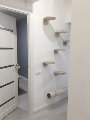 Купить однокомнатную квартиру в Волгограде. Вариант № 6610, 14, площадь -  квм, цена 4890000 рублей