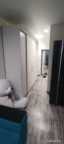 Купить Студию в Волгограде. Вариант № 2055006, 8, площадь -  квм, цена 4300000 рублей