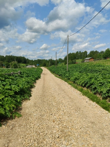 Купить земельный участок в Республике Коми. Вариант № 49197, 0, площадь -  квм, цена 140000 рублей