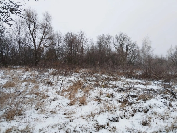 Купить земельный участок в Тульской области. Вариант № 19500, 11, площадь -  квм, цена 495000 рублей