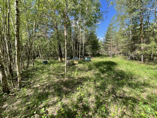 Купить дом на улице Ильинская в Ивановской области. Вариант № 2371, 7, площадь -  квм, цена 650000 рублей