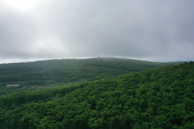 Купить двухкомнатную квартиру в ЖК Посейдония в Владивостоке. Вариант № 4136894, 2, площадь -  квм, цена 14593800 рублей