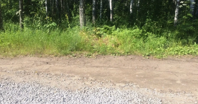 Купить земельный участок в Искитиме. Вариант № 60348, 0, площадь -  квм, цена 450000 рублей