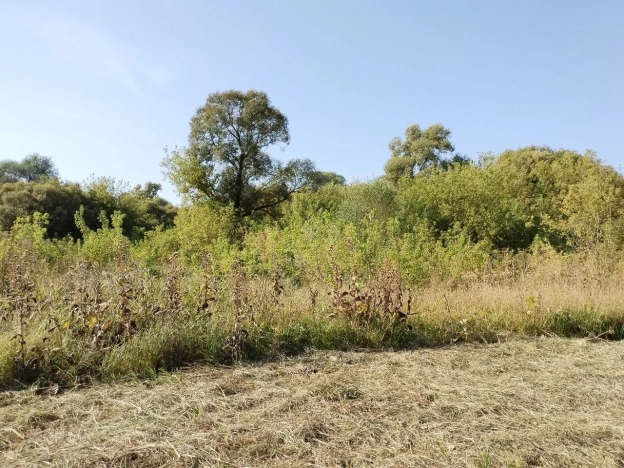 Купить земельный участок на улице Пятилетки в Белгородской области. Вариант № 13179, 16, площадь -  квм, цена 1190000 рублей