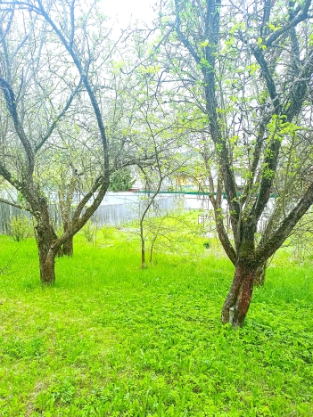 Купить дачу в Калужской области. Вариант № 42234, 11, площадь -  квм, цена 1950000 рублей