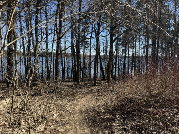 Купить земельный участок в Химках. Вариант № 22266, 4, площадь -  квм, цена 2250000 рублей