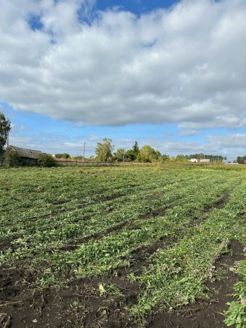 Купить земельный участок в Стерлитамаке. Вариант № 5311, 5, площадь -  квм, цена 550000 рублей