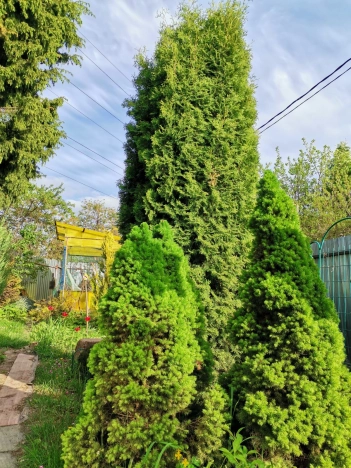 Купить дачу в Калуге. Вариант № 2037, 4, площадь -  квм, цена 875000 рублей