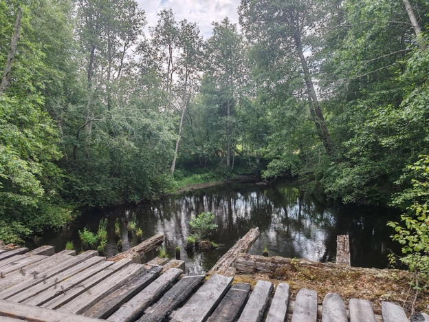 Купить земельный участок на улице Южный склон в Ленинградской области. Вариант № 6255740, 6, площадь -  квм, цена 2750000 рублей