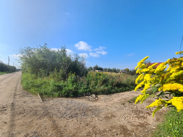 Купить земельный участок в Пермском крае. Вариант № 24900, 0, площадь -  квм, цена 260000 рублей