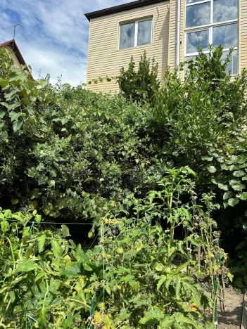 Купить дом в Краснодарском крае. Вариант № 9173498, 4, площадь -  квм, цена 90000000 рублей