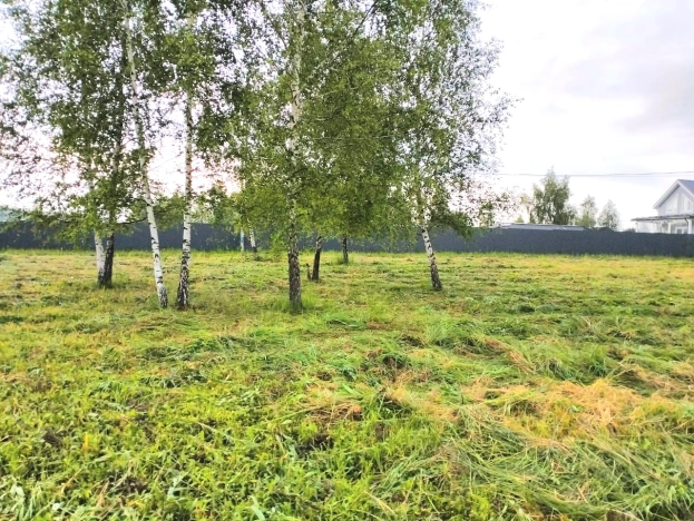 Купить земельный участок в Москве. Вариант № 9316690, 4, площадь -  квм, цена 1200000 рублей